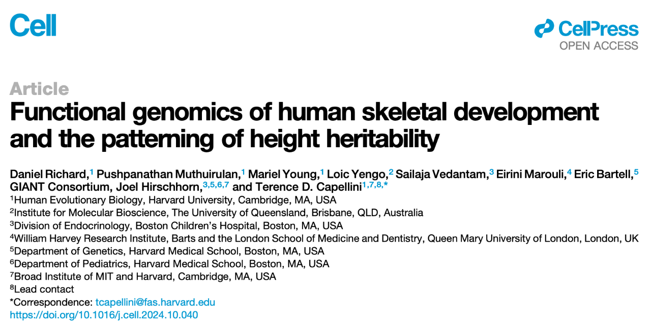 Functional genomics of human skeletal development and the patterning of height heritability