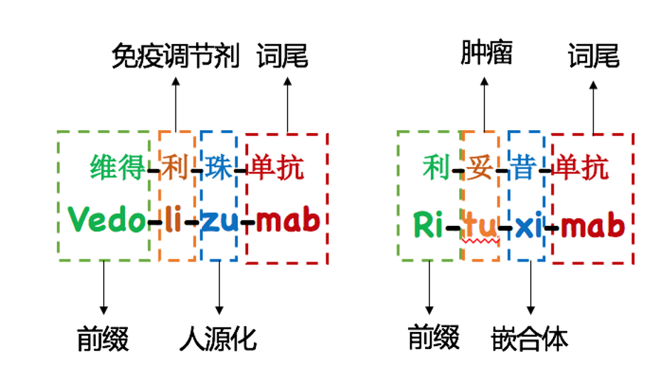 詞尾為“~單抗（~mab）”