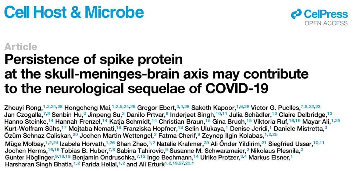 Persistence of spike protein at the skull-meninges-brain axis may contribute to the neurological sequelae of COVID-19