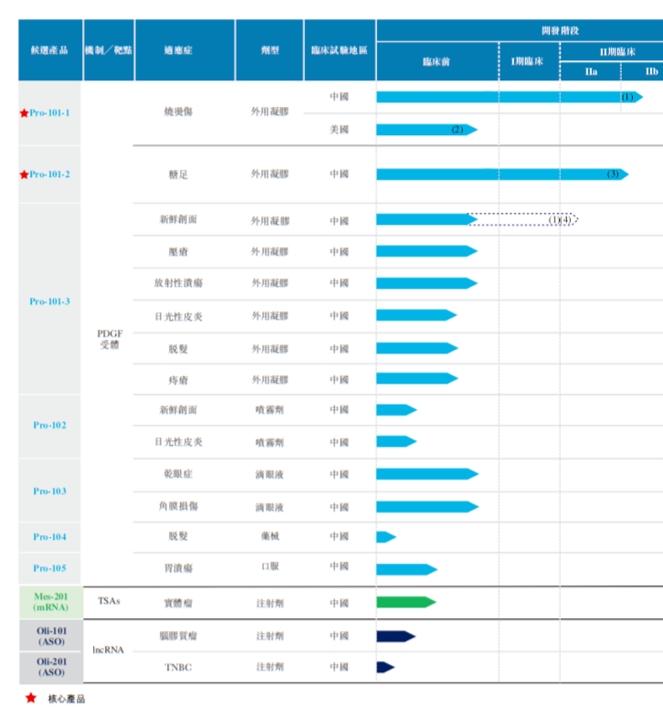 公司的主要管線技術