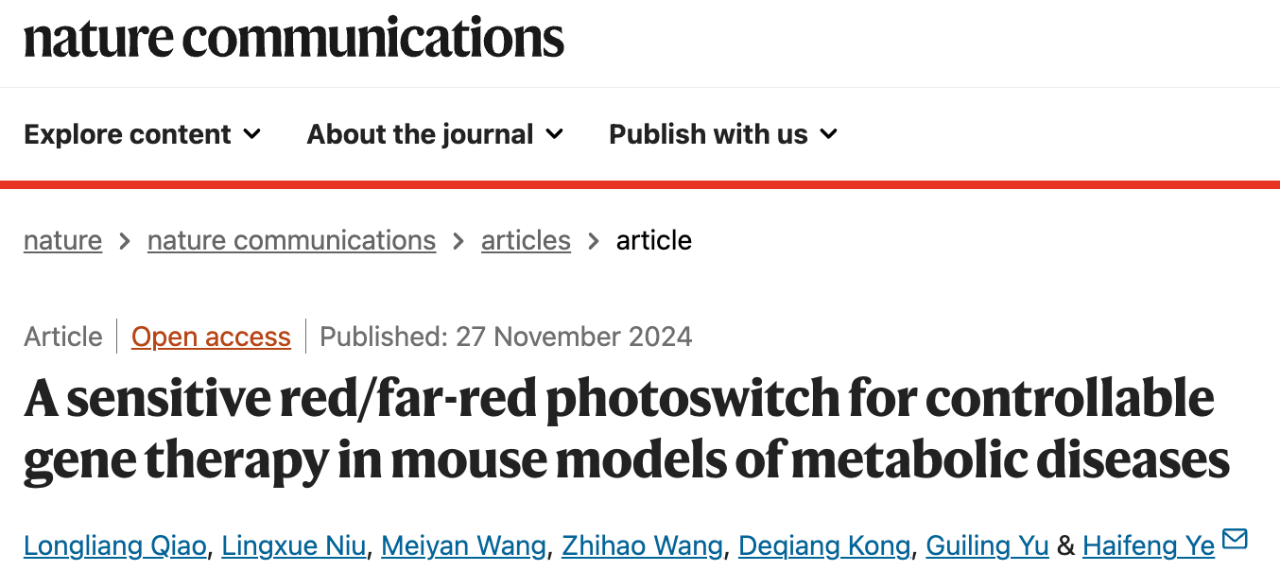 A sensitive red/far-red photoswitch for controllable gene therapy in mouse models of metabolic diseases 