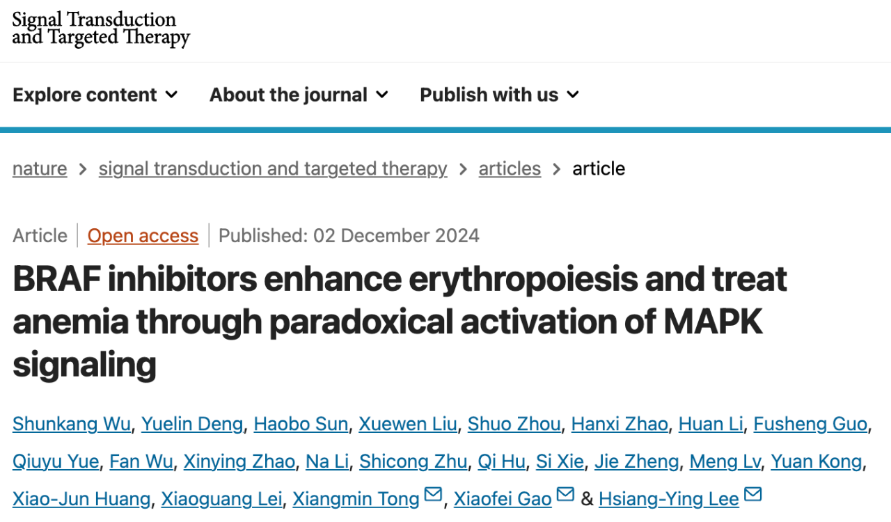 BRAF inhibitors enhance erythropoiesis and treat anemia through paradoxical activation of MAPK signaling