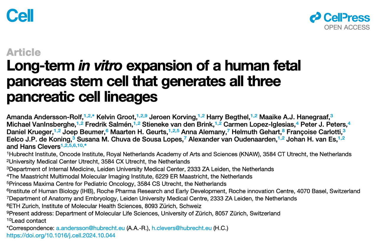 Long-term in vitro expansion of a human fetal pancreas stem cell that generates all three pancreatic cell lineages