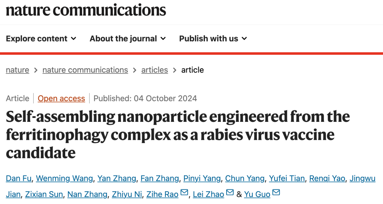 Self-assembling nanoparticle engineered from the ferritinophagy complex as a rabies virus vaccine candidate