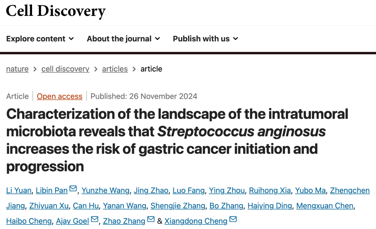 Characterization of the landscape of the intratumoral microbiota reveals that Streptococcus anginosus increases the risk of gastric cancer initiation and progression