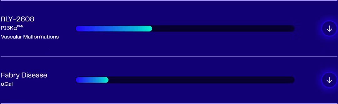 Relay曾有三條進入臨床的管線，分別為FGFR2抑制劑RLY-4008、SHP2抑制劑RLY-1971、以及PI3Kα抑制劑RLY-2608