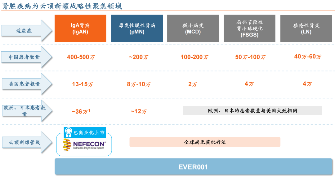 腎臟疾病為云頂新耀戰(zhàn)略性聚焦領(lǐng)域