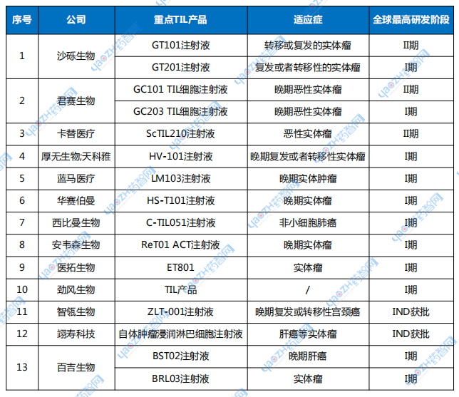 表2 國內重點在研TIL療法