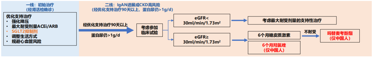 圖：IgA腎病治療方案一覽