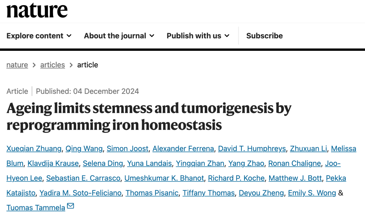 Ageing limits stemness and tumorigenesis by reprogramming iron homeostasis