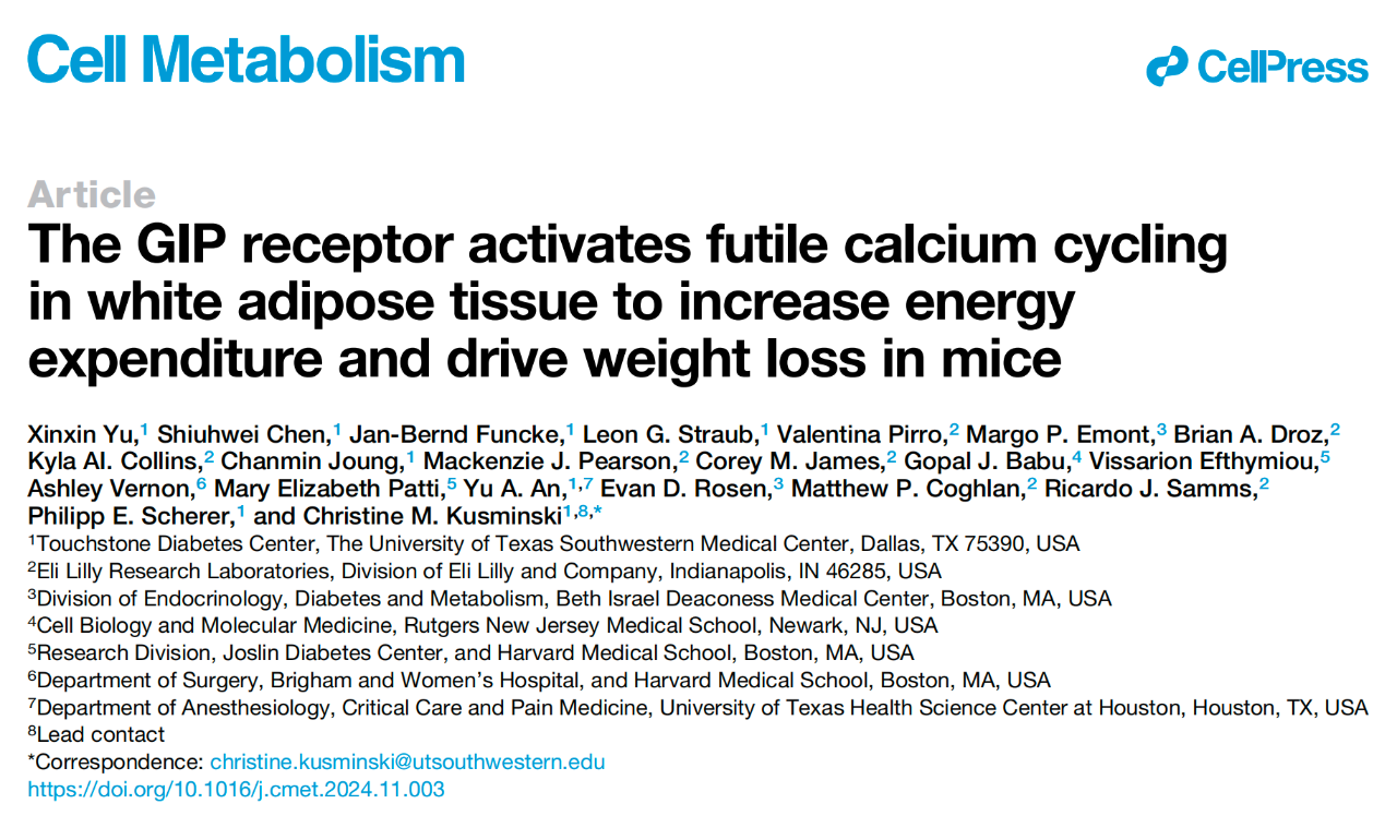 The GIP receptor activates futile calcium cycling in white adipose tissue to increase energy expenditure and drive weight loss in mice