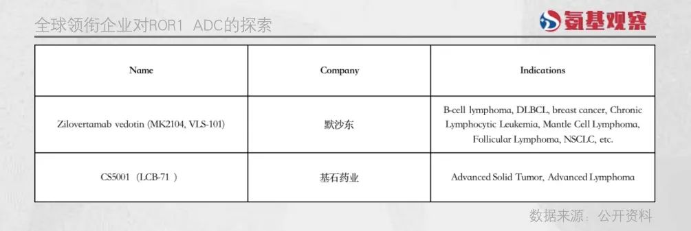 全球領(lǐng)銜企業(yè)對ROR1 ADC的探索