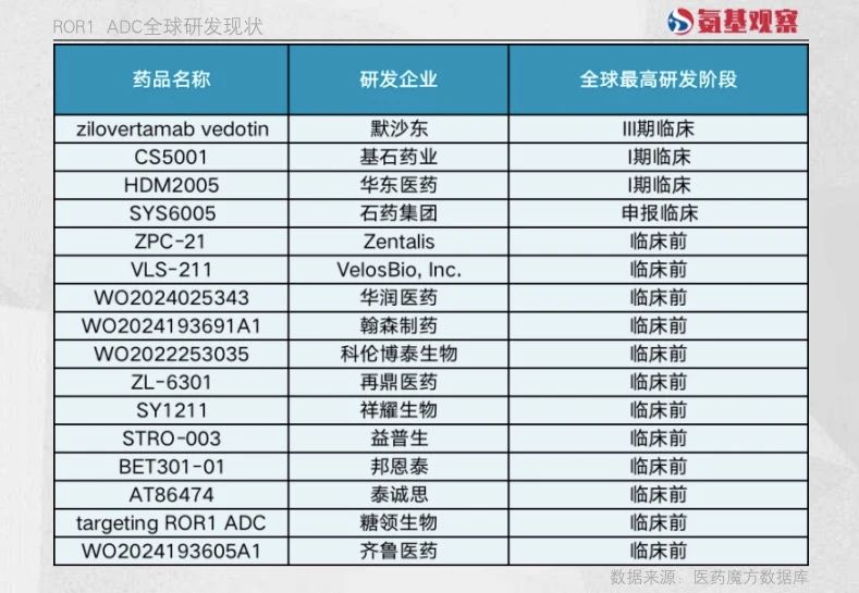 ROR1 ADC 全球研發(fā)現(xiàn)狀