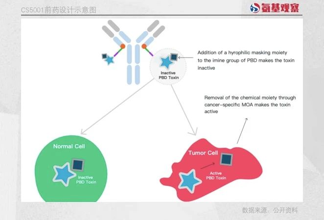 CS5001前藥設(shè)計示意圖