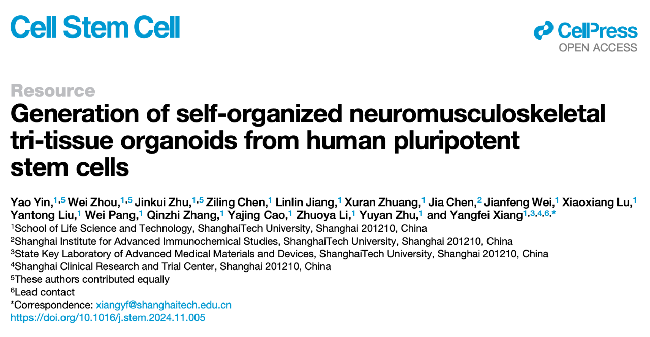 Generation of self-organized neuromusculoskeletal tri-tissue organoids from human pluripotent stem cells