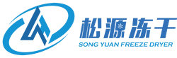 北京松源华兴科技发展有限公司