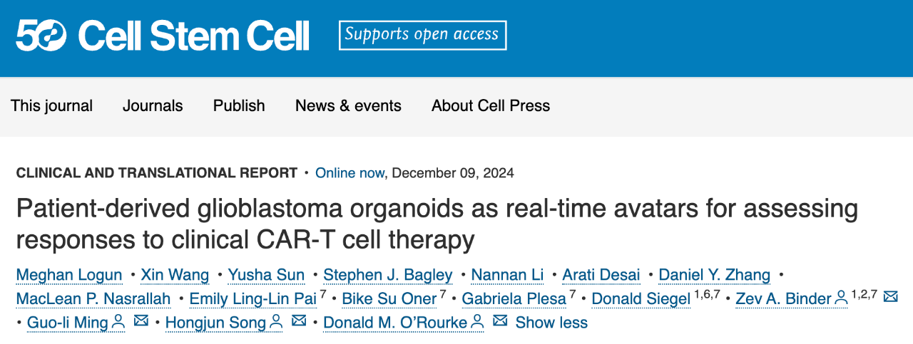 Patient-derived glioblastoma organoids as real-time avatars for assessing responses to clinical CAR-T cell therapy