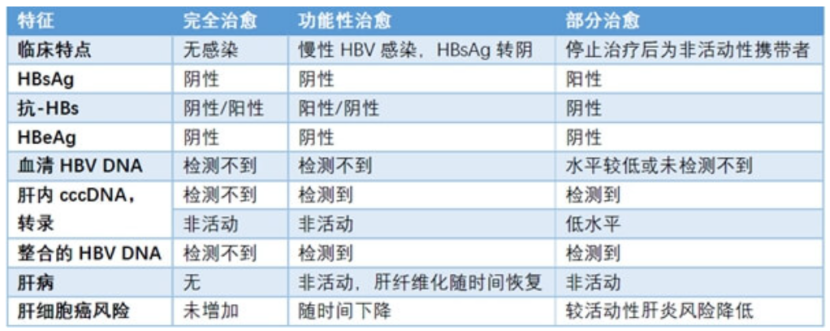 乙肝病毒