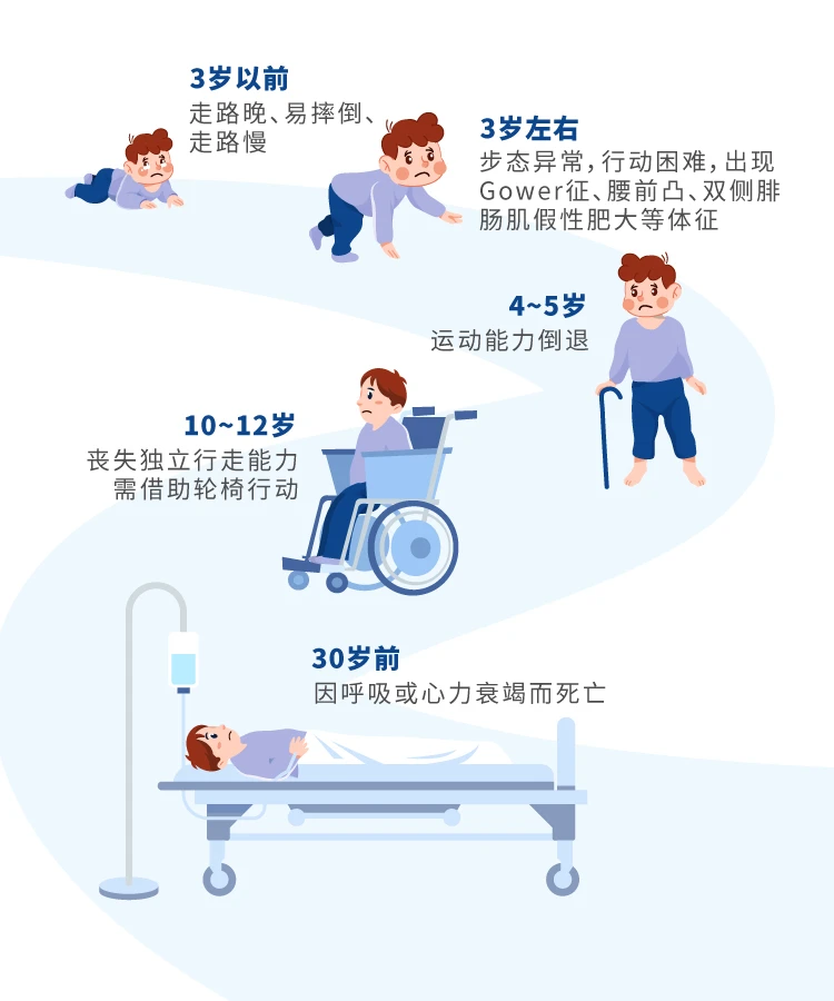 圖1. 杜氏肌營養(yǎng)不良臨床表現(xiàn)——肌無力和退化