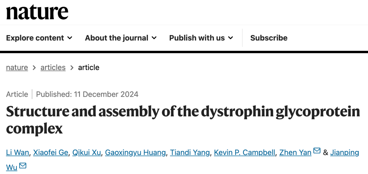 Structure and assembly of the dystrophin glycoprotein complex