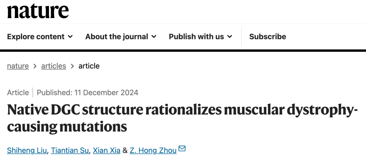 Native DGC structure rationalizes muscular dystrophy-causing mutations