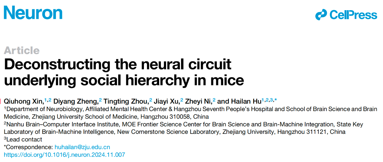 Deconstructing the neural circuit underlying social hierarchy in mice
