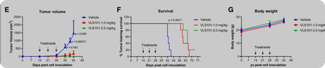 《The antibody drug conjugate VLS-101 targeting ROR1 is effective in CAR T-resistant mantle cell lymphoma》