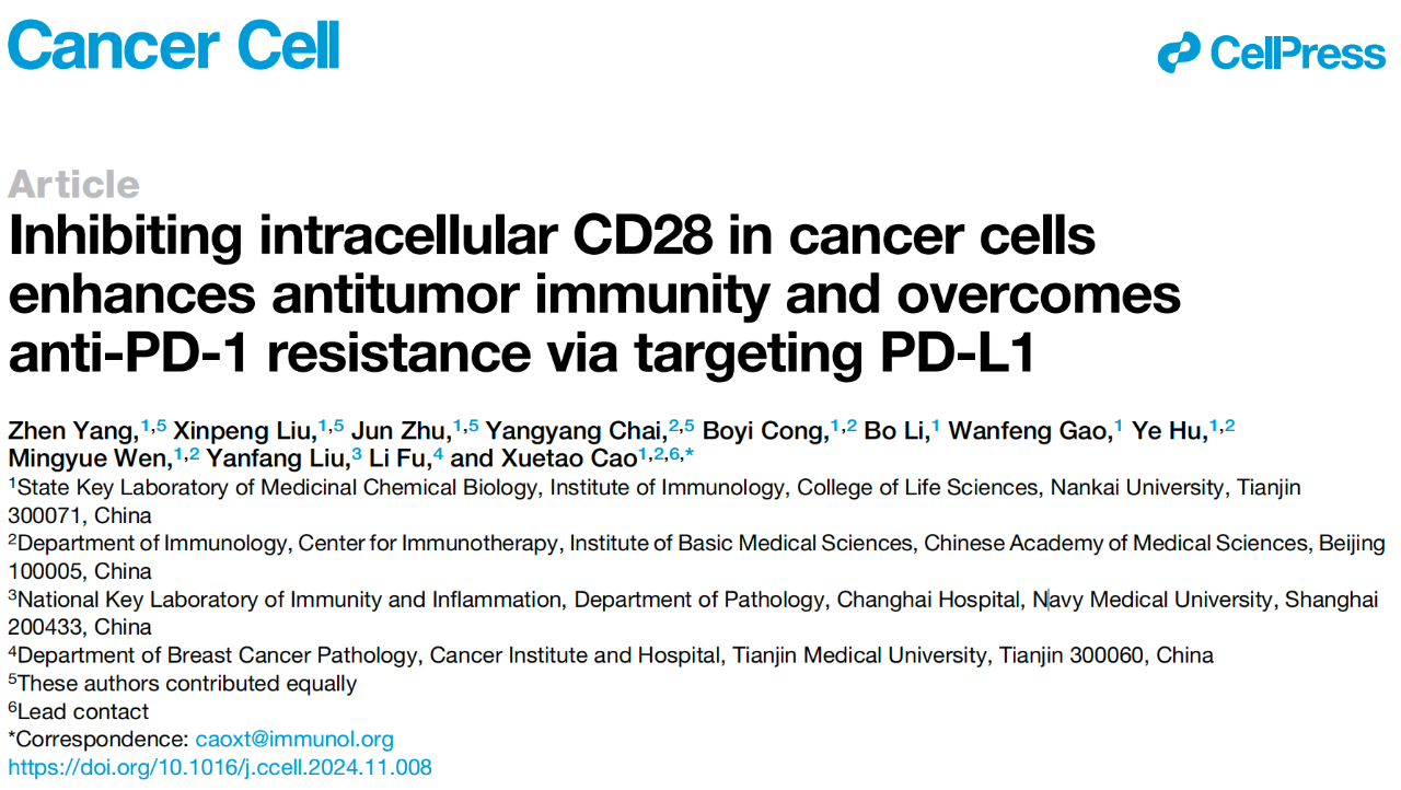 Inhibiting intracellular CD28 in cancer cells enhances antitumor immunity and overcomes anti-PD-1 resistance via targeting PD-L1