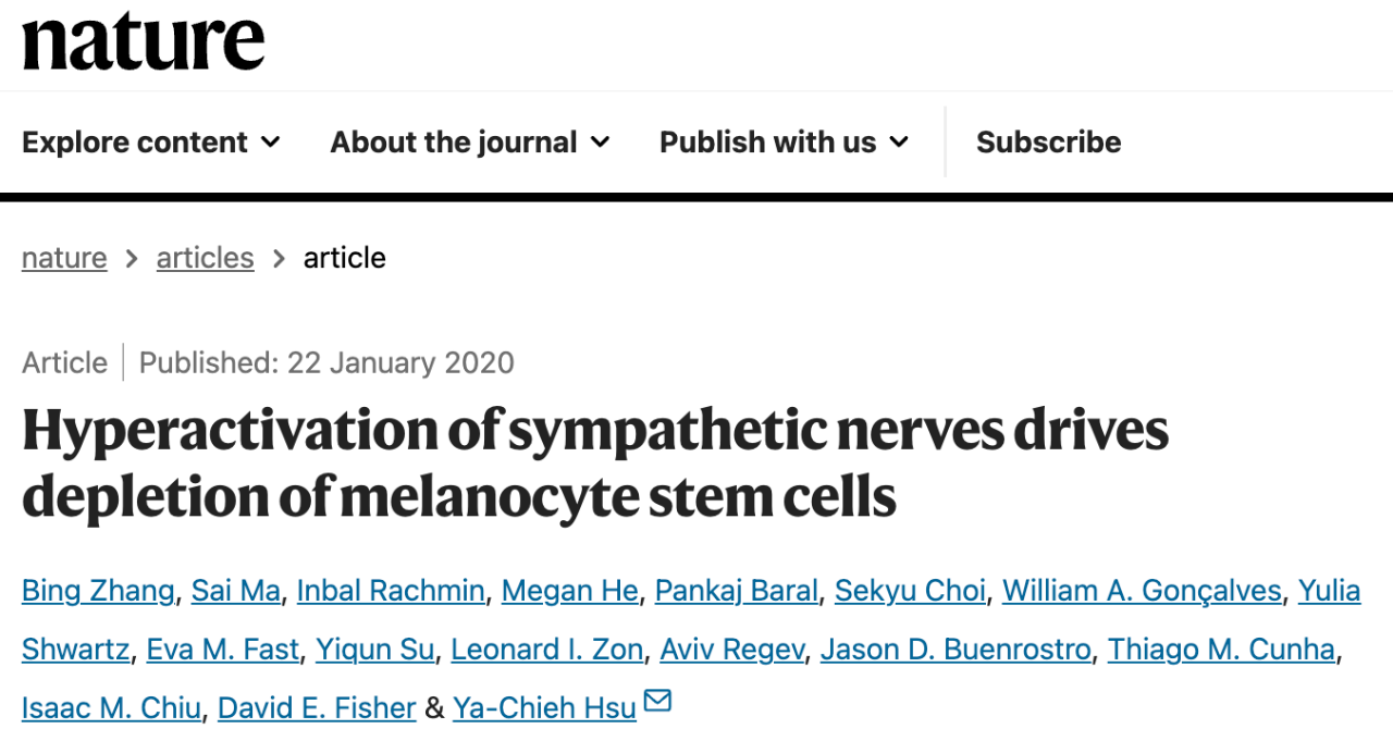 Hyperactivation of sympathetic nerves drives depletion of melanocyte stem cells