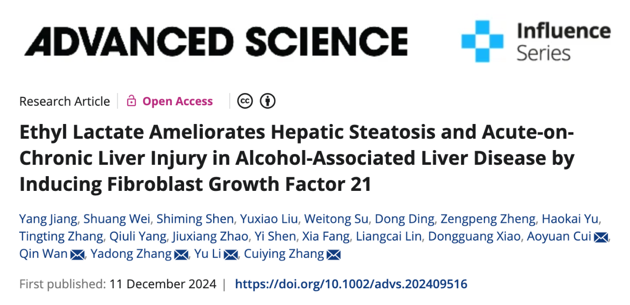 Ethyl Lactate Ameliorates Hepatic Steatosis and Acute-on-Chronic Liver Injury in Alcohol-Associated Liver Disease by Inducing Fibroblast Growth Factor 21