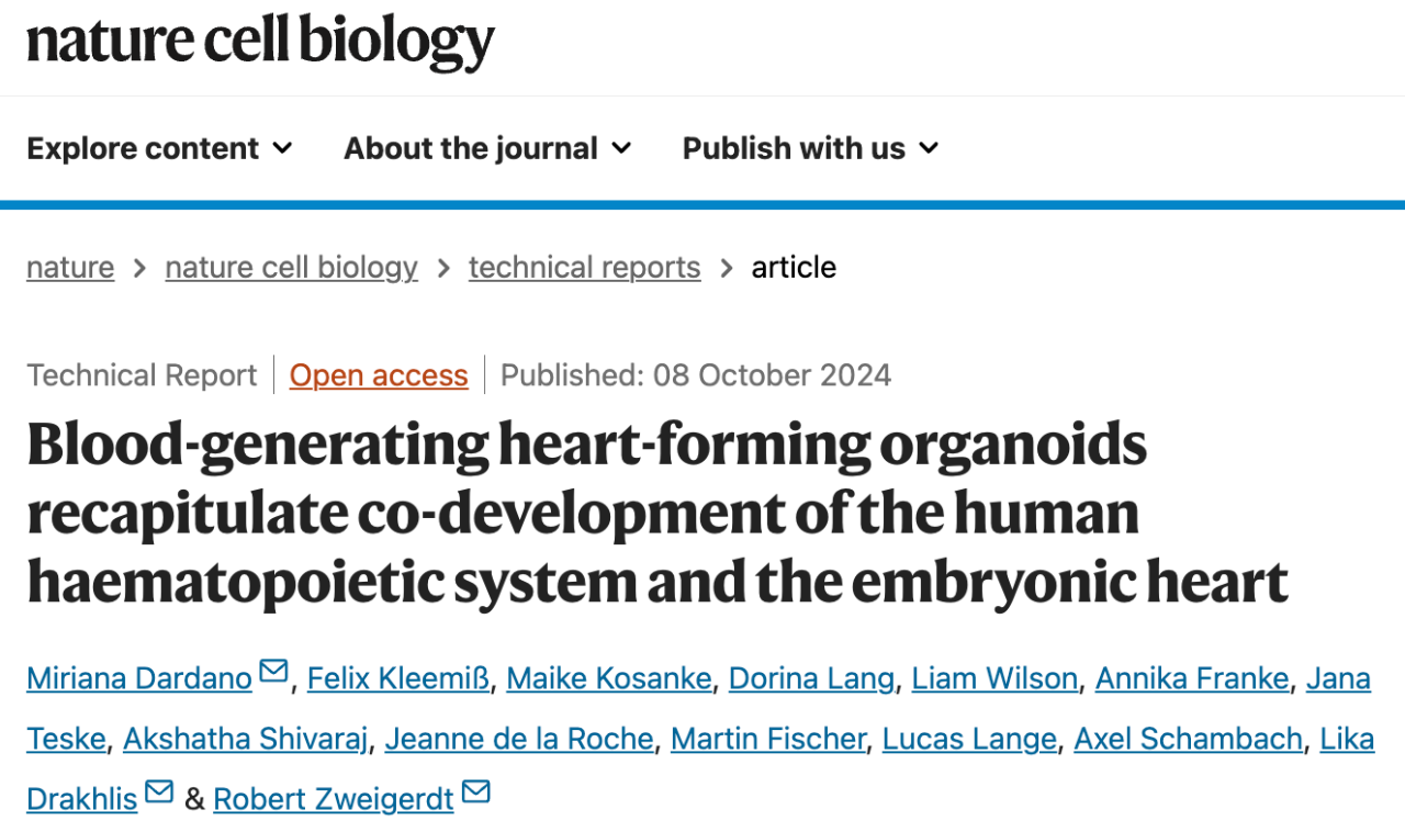 Blood-generating heart-forming organoids recapitulate co-development of the human haematopoietic system and the embryonic heart