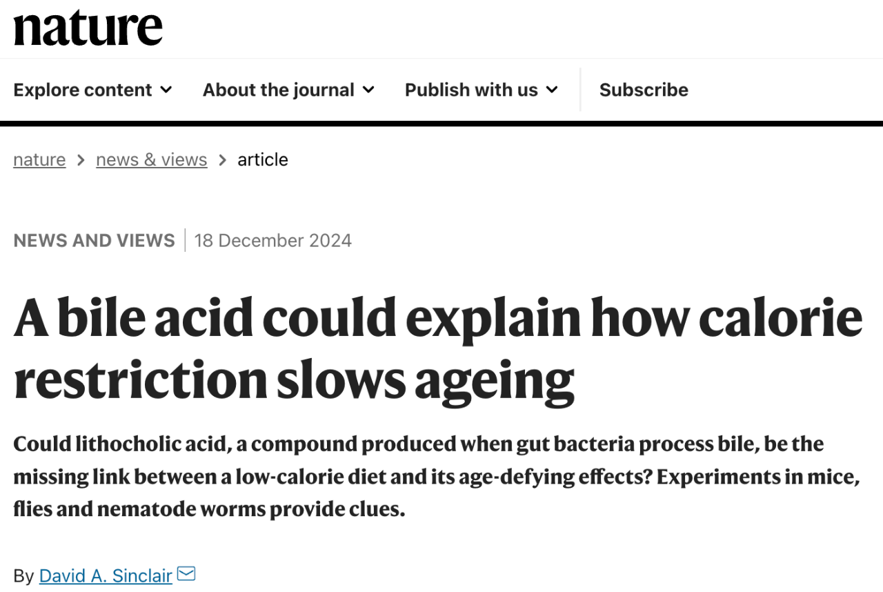 A bile acid could explain how calorierestriction slows ageing