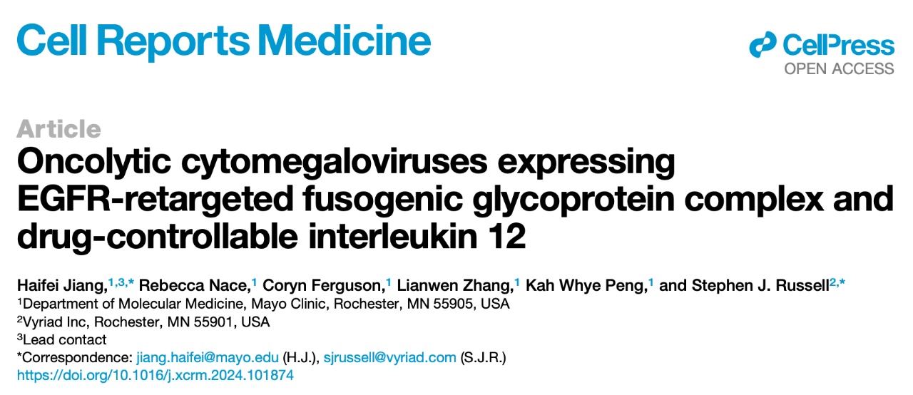 Oncolytic cytomegaloviruses expressing EGFR-retargeted fusogenic glycoprotein complex and drug-controllable interleukin 12