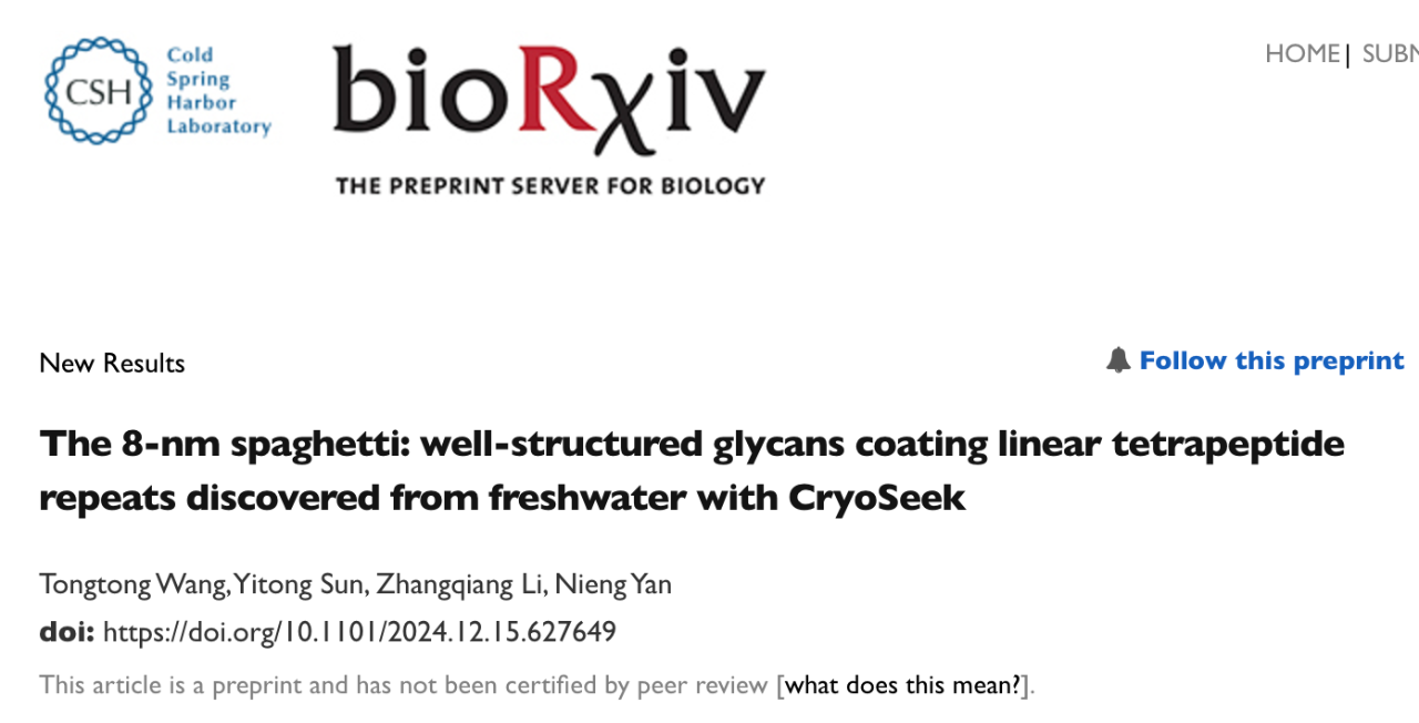 The 8-nm spaghetti: well-structured glycans coating linear tetrapeptide repeats discovered from freshwater with CryoSeek