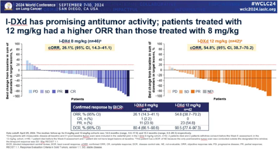 I-DXd has promising antitumor activity; patients treated with12 mg/kg had a higher ORR than those treated with 8 mg/kg