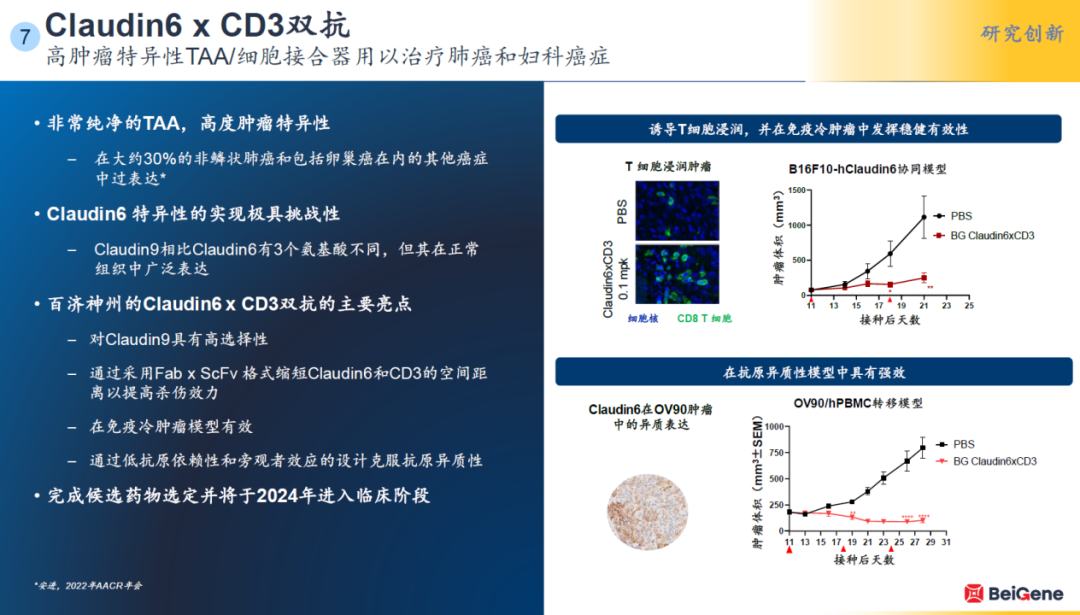 Claudin6xCD3雙抗