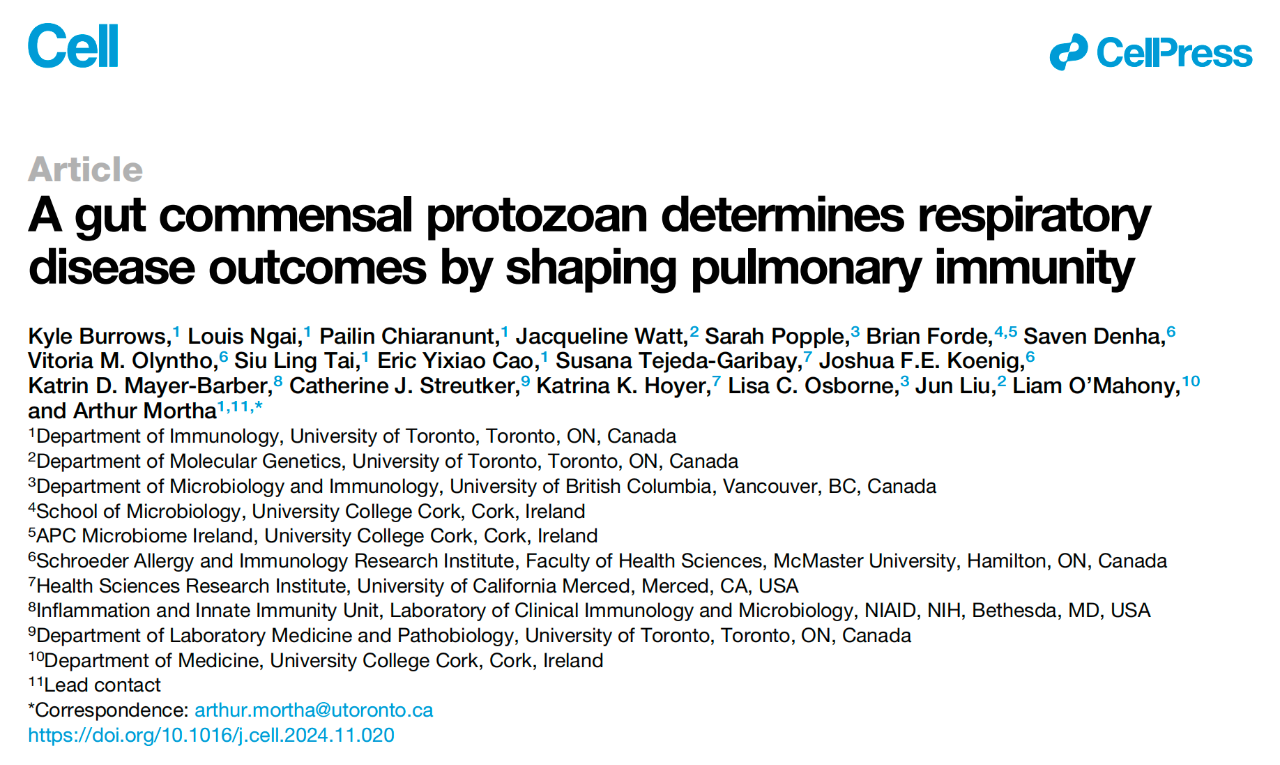 A gut commensal protozoan determines respiratory disease outcomes by shaping pulmonary immunity