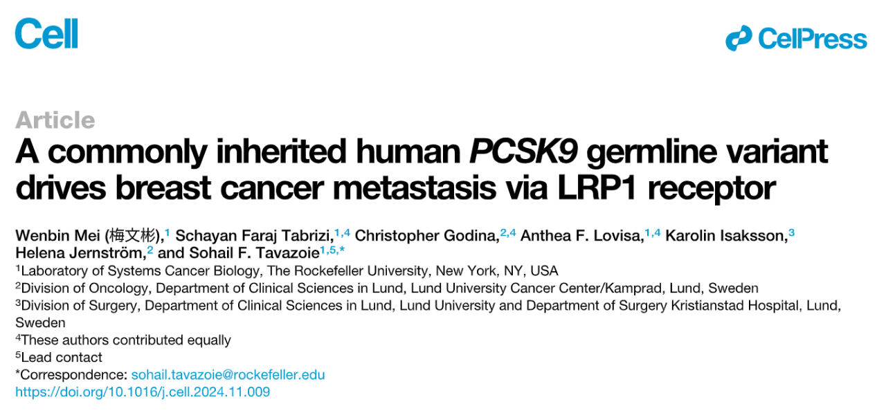 A commonly inherited human PCSK9 germline variant drives breast cancer metastasis via LRP1 receptor