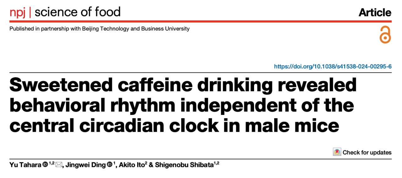 Sweetened caffeine drinking revealed behavioral rhythm independent of the central circadian clock in male mice