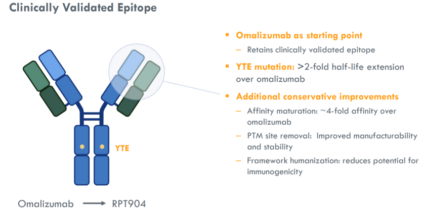 Clinically Validated Epitope