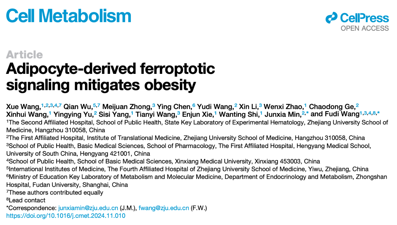 Adipocyte-derived ferroptotic signaling mitigates obesity