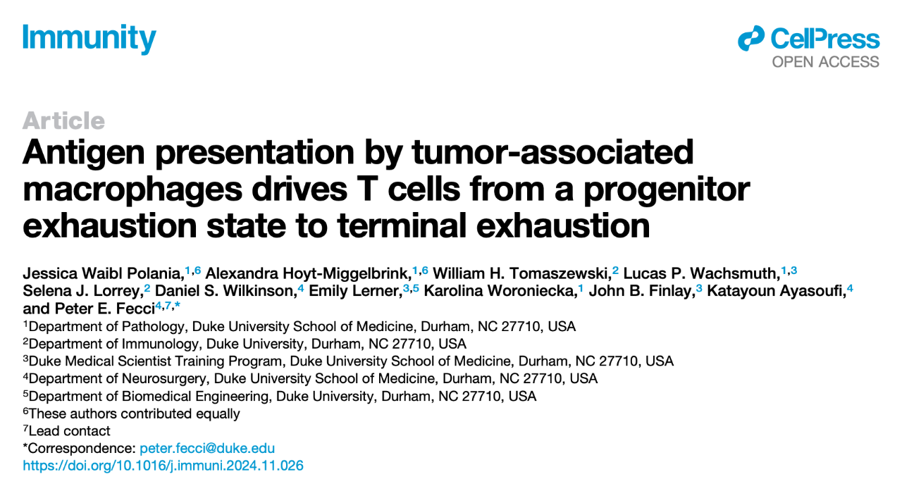 Antigen presentation by tumor-associated macrophages drives T cells from a progenitor exhaustion state to terminal exhaustion