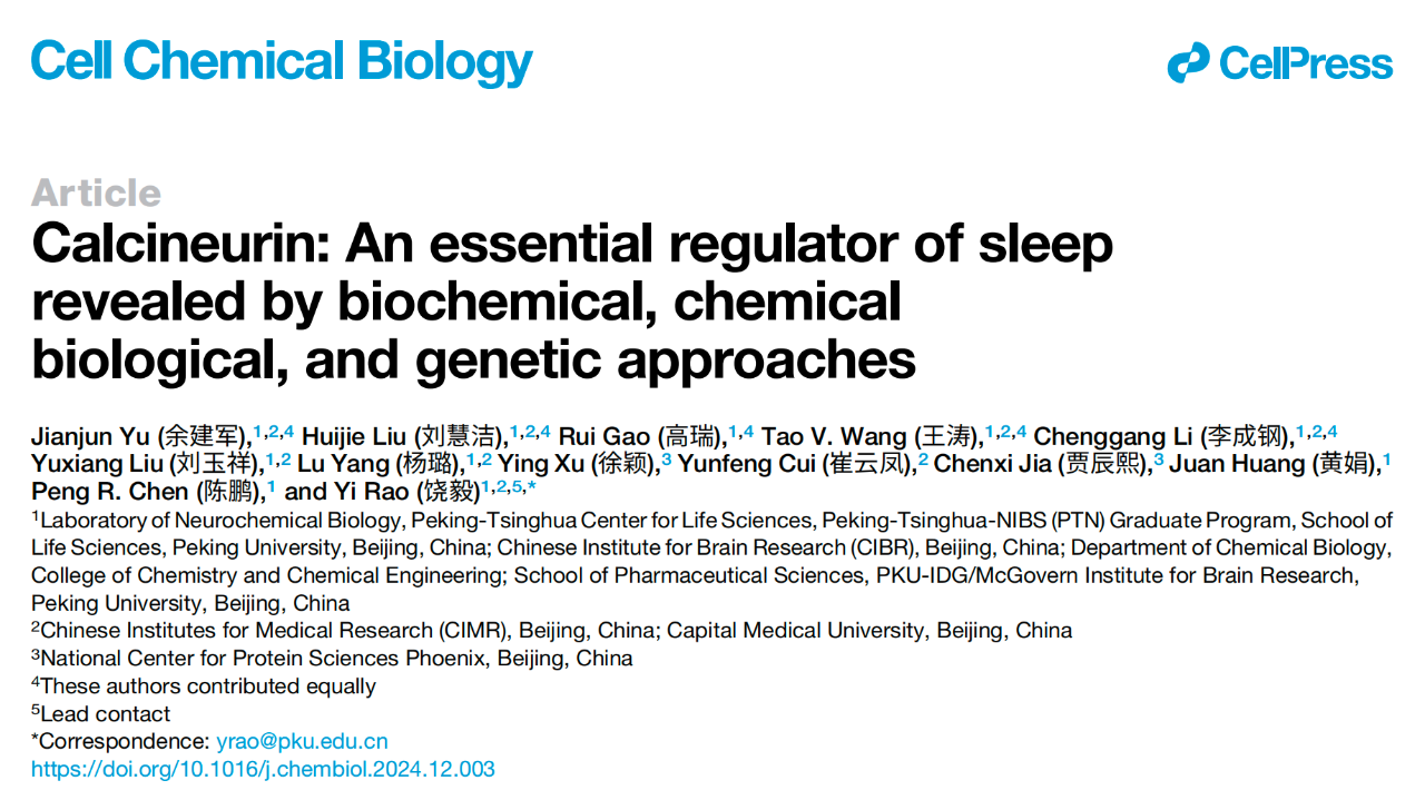 Calcineurin: An essential regulator of sleep revealed by biochemical, chemical biological, and genetic approaches