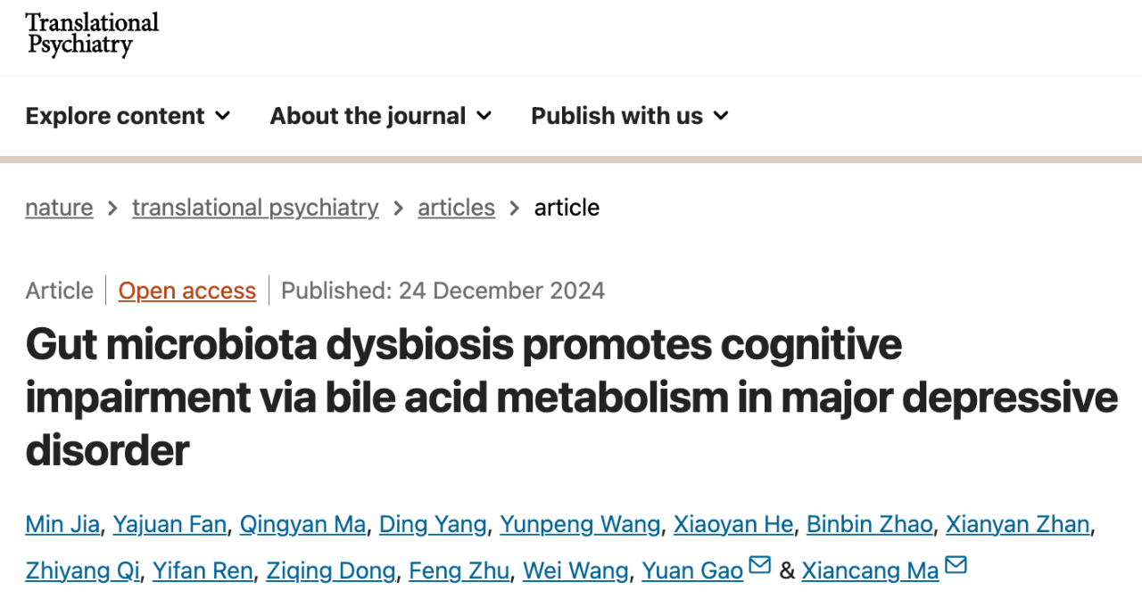 Gut microbiota dysbiosis promotes cognitive impairment via bile acid metabolism in major depressive disorder