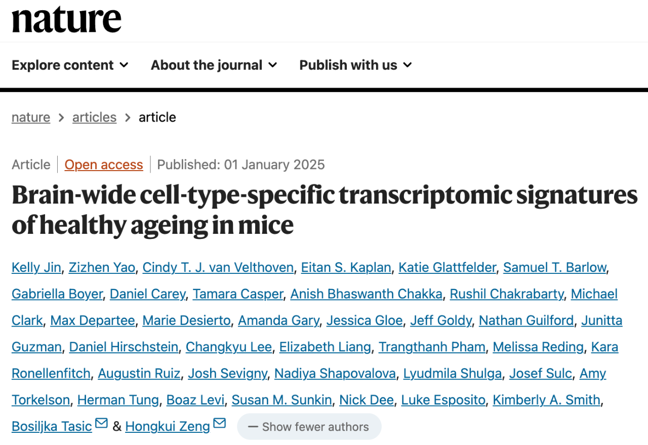 Brain-wide cell-type-specific transcriptomic signatures of healthy ageing in mice