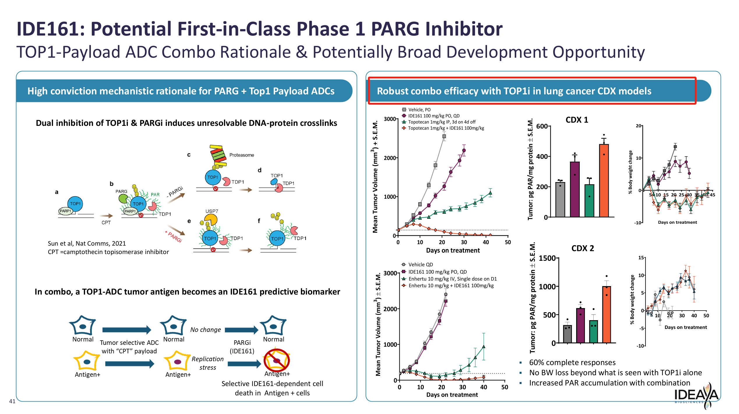 IDE161:Potential First-in-Class Phase 1 PARG Inhibitor