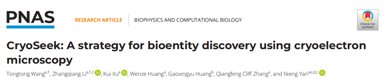 CryoSeek: A strategy for bioentity discovery using cryoelectron microscopy