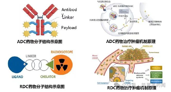 ADC与RDC的对比