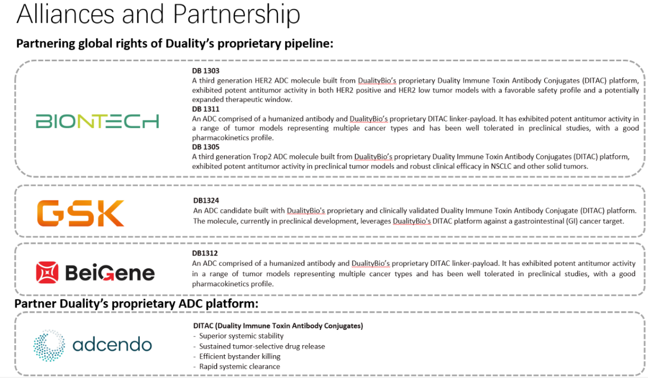 Alliances and Partnership