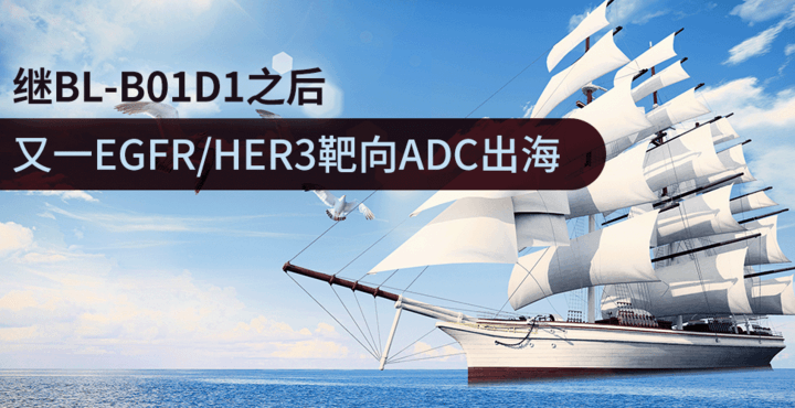 又一EGFR/HER3靶向ADC出海